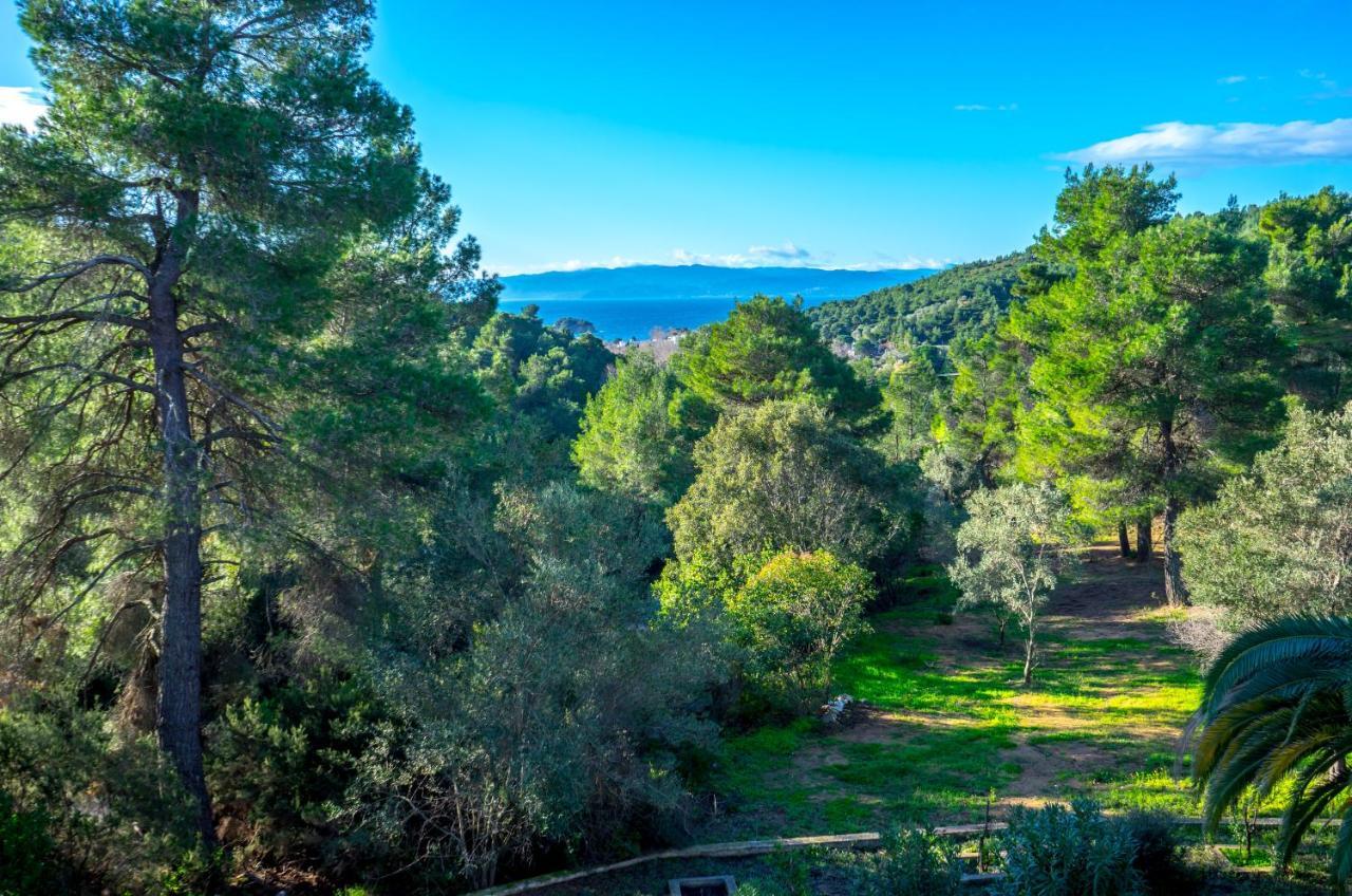 Forest Resort Suites Skiathos Troulos Eksteriør bilde