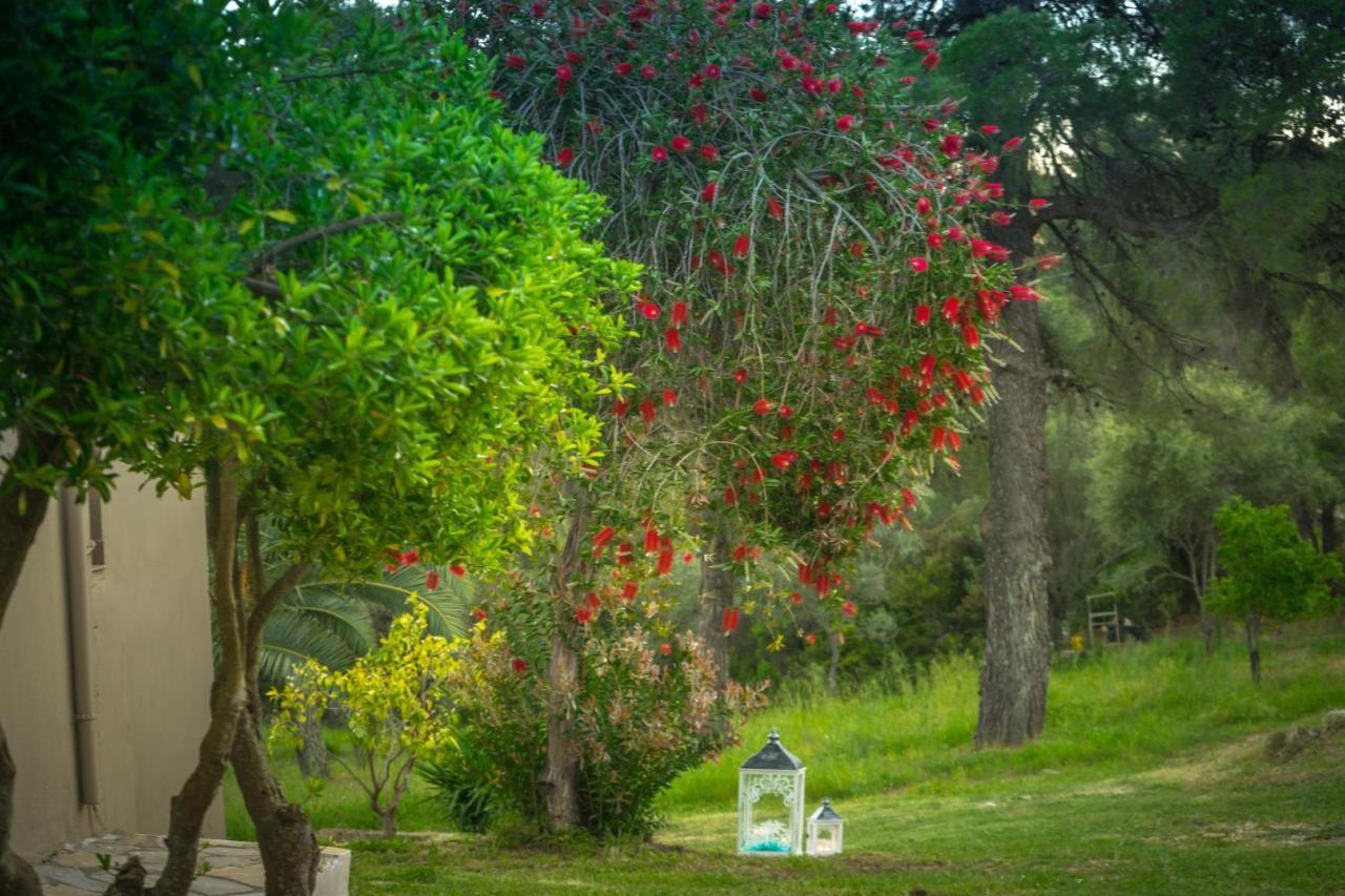 Forest Resort Suites Skiathos Troulos Eksteriør bilde