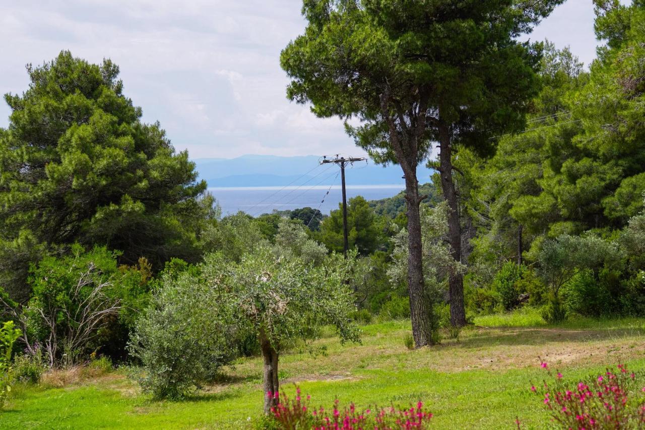 Forest Resort Suites Skiathos Troulos Eksteriør bilde